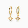 Aretes Horus