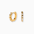 Aretes Dione